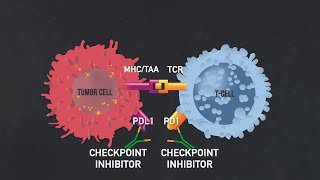 Traitements des cancers [upl. by Allsopp443]