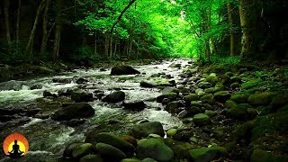 15 Minute Meditation Music Calm Music Relax Meditation Stress Relief Spa Study Sleep ☯3527B [upl. by Nrehtak]