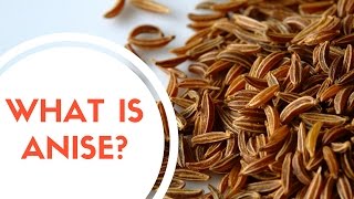 What Is Anise [upl. by Jaymee]