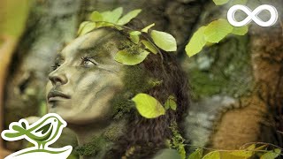 Dance of Life Relaxing Celtic Music for Meditation amp Sleep by Peder B Helland [upl. by Moraj]