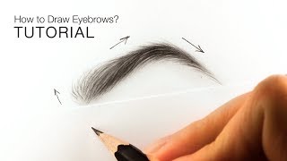 How to draw realistic eyebrows for BEGINNERS  EASY TUTORIAL [upl. by Gati]