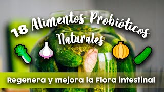 18 ALIMENTOS PROBIÓTICOS naturales  Regenera y mejora la Flora intestinal [upl. by Ellehcem]