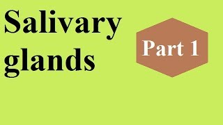 Salivary glands Part 1 BASICS [upl. by Earehs]