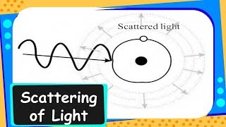 Physics  Scattering of Light  Human Eye and Colourful World  Part 11  English [upl. by Elva]