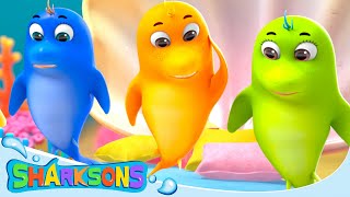 5 Little Reef Sharks  Videos for Kids  Nursery Rhymes amp Kids Songs  The Sharksons [upl. by Esmerolda]