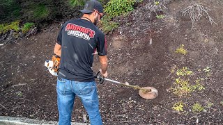 Never Pull Weeds Again Weed Whacker Trick [upl. by Sande]