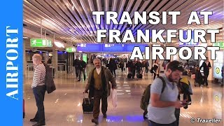 TRANSIT WALK AT FRANKFURT Airport FRA Terminal 1  Connection Flight Transfer Arriving amp Departing [upl. by Eignav]